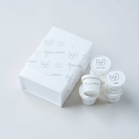 BASIC BOX 人気の定番アイスクリーム4種(6個セット)